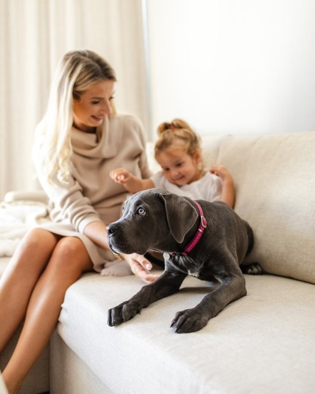 Kutya a Linea Mare Hotelben