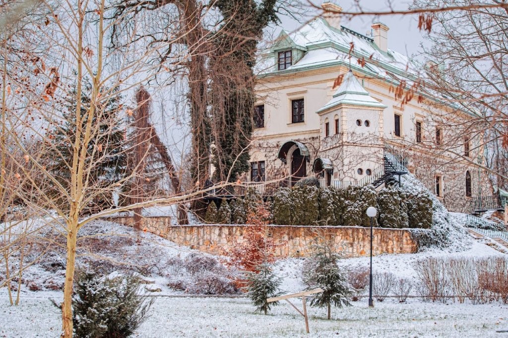 Odrowąż palota télen