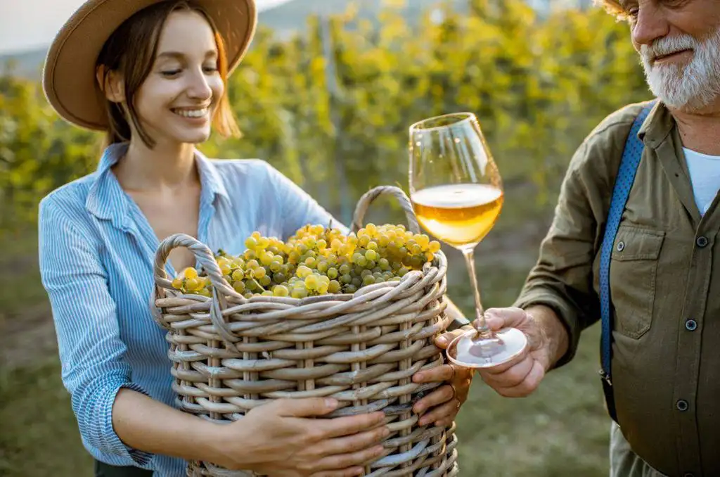 A borpiac digitalizációja Lengyelországban Technológiák, kihívások és jövő