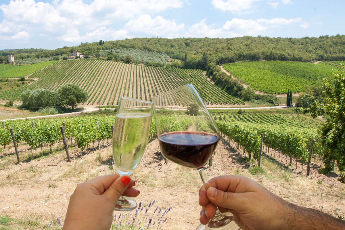 Szőlő&uuml;ltetv&eacute;nyek Toszk&aacute;n&aacute;ban