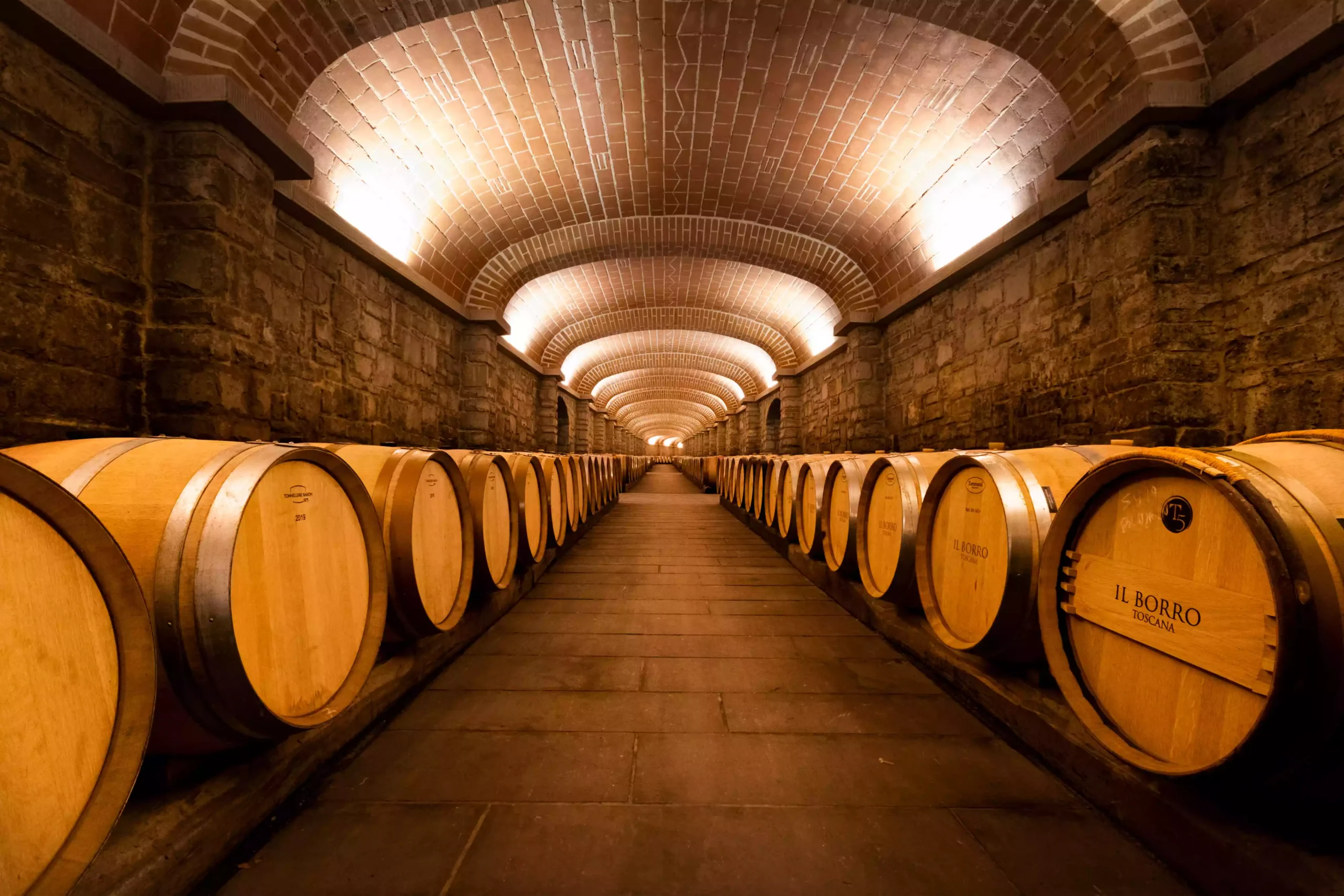 Szőlő&uuml;ltetv&eacute;nyek Toszk&aacute;n&aacute;ban Blog